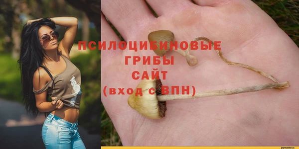 ПСИЛОЦИБИНОВЫЕ ГРИБЫ Абдулино