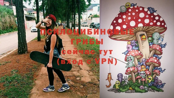соль курить ск Новокубанск