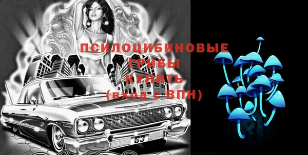 ПСИЛОЦИБИНОВЫЕ ГРИБЫ Абдулино