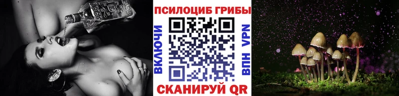 Галлюциногенные грибы прущие грибы Аксай