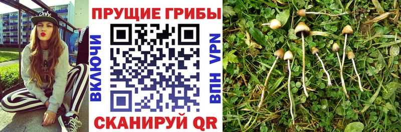 Псилоцибиновые грибы ЛСД  где купить   Аксай 